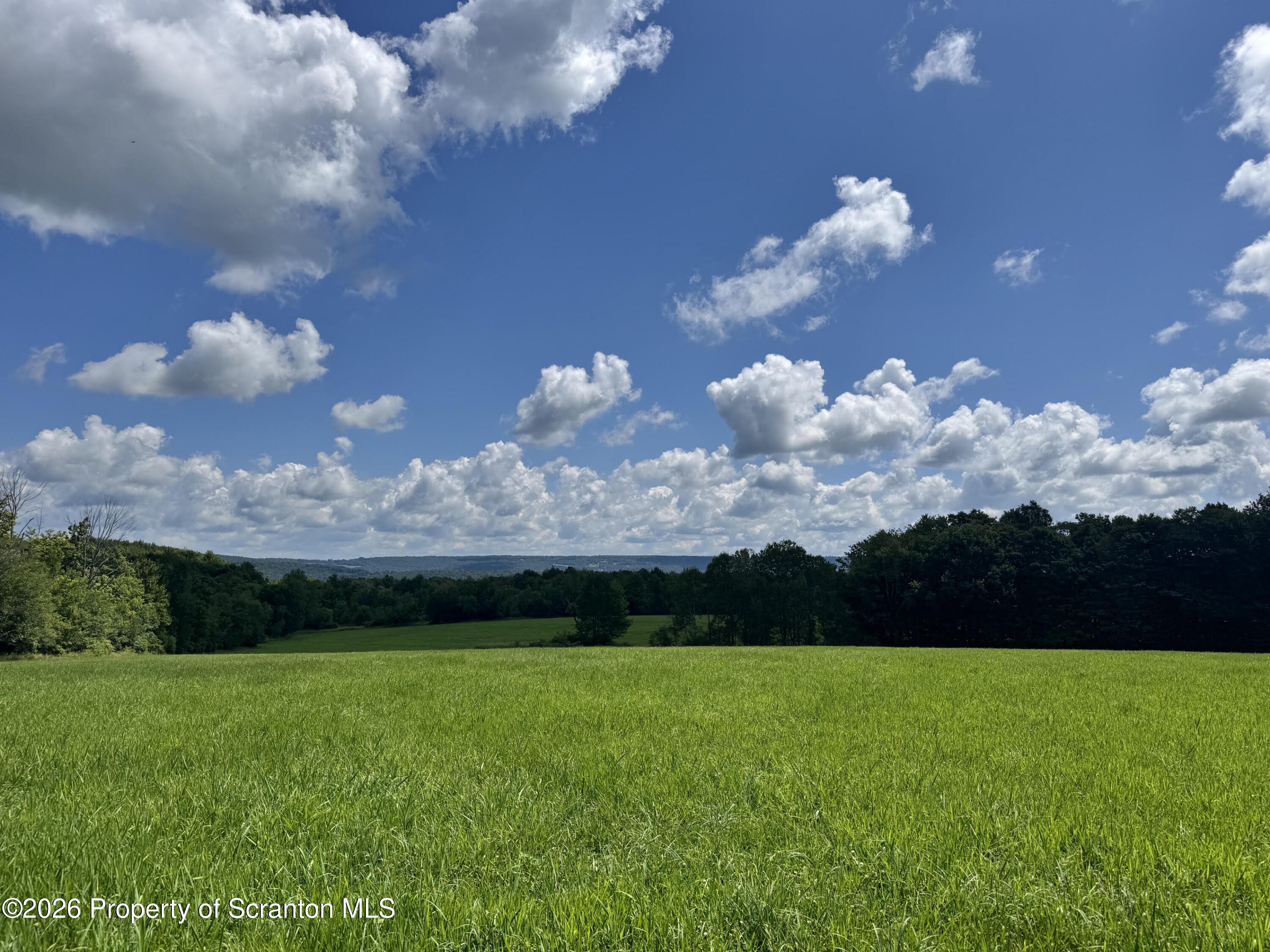 Franks Road Susquehanna, PA 18847 - Photo 7 of 12 77
