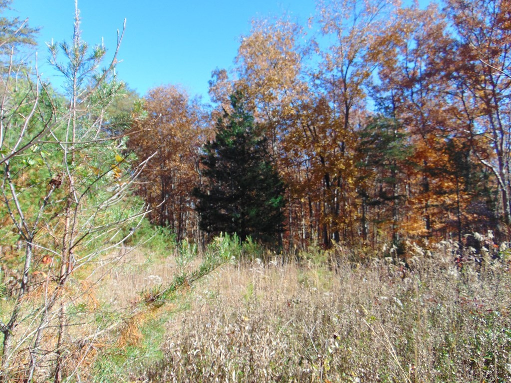 0 Raccoon Ridge Road Spring City, TN 37381 - Photo 22 of 70