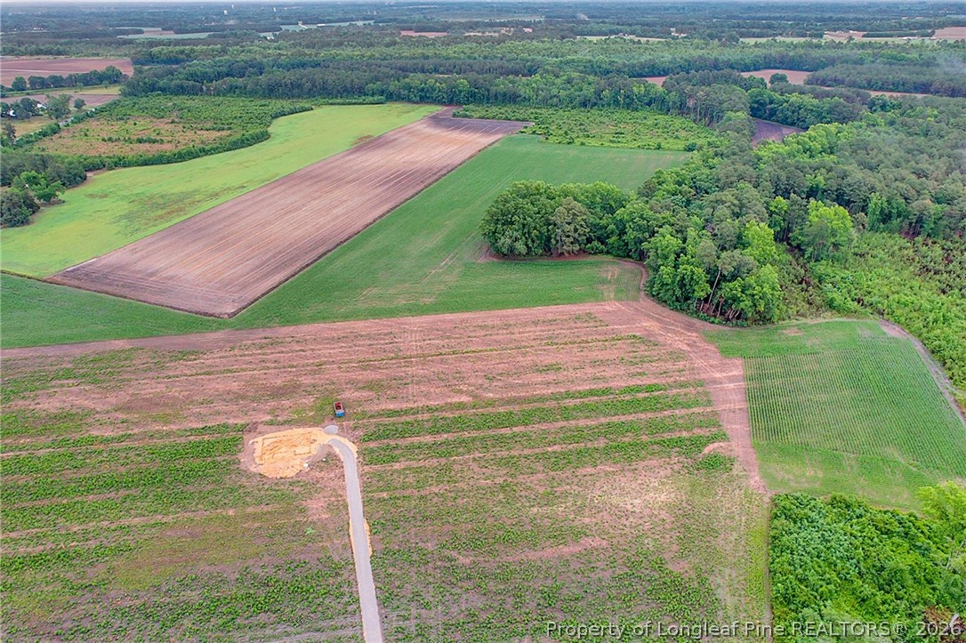 Lot 8 Buie - Philadelphus Road Red Springs, NC 28377 - Photo 3 of 12 a view of a outdoor space