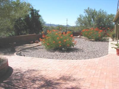 3535 West Morgan Road Tucson, AZ 85745 - Photo 8 of 9 Gallery Image 8