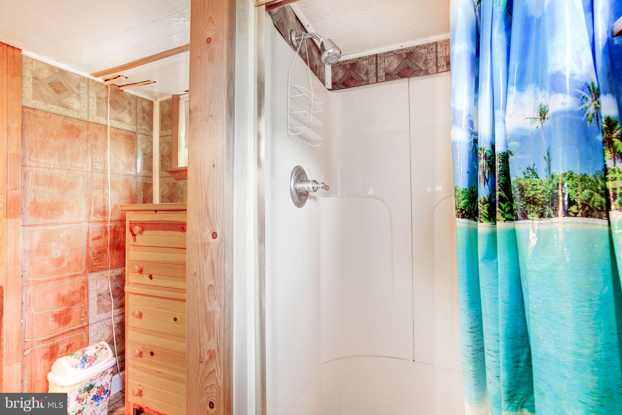 11907 Lime Plant Road New Market, MD 21774 - Photo 32 of 47 a bathroom with a shower and a mirror