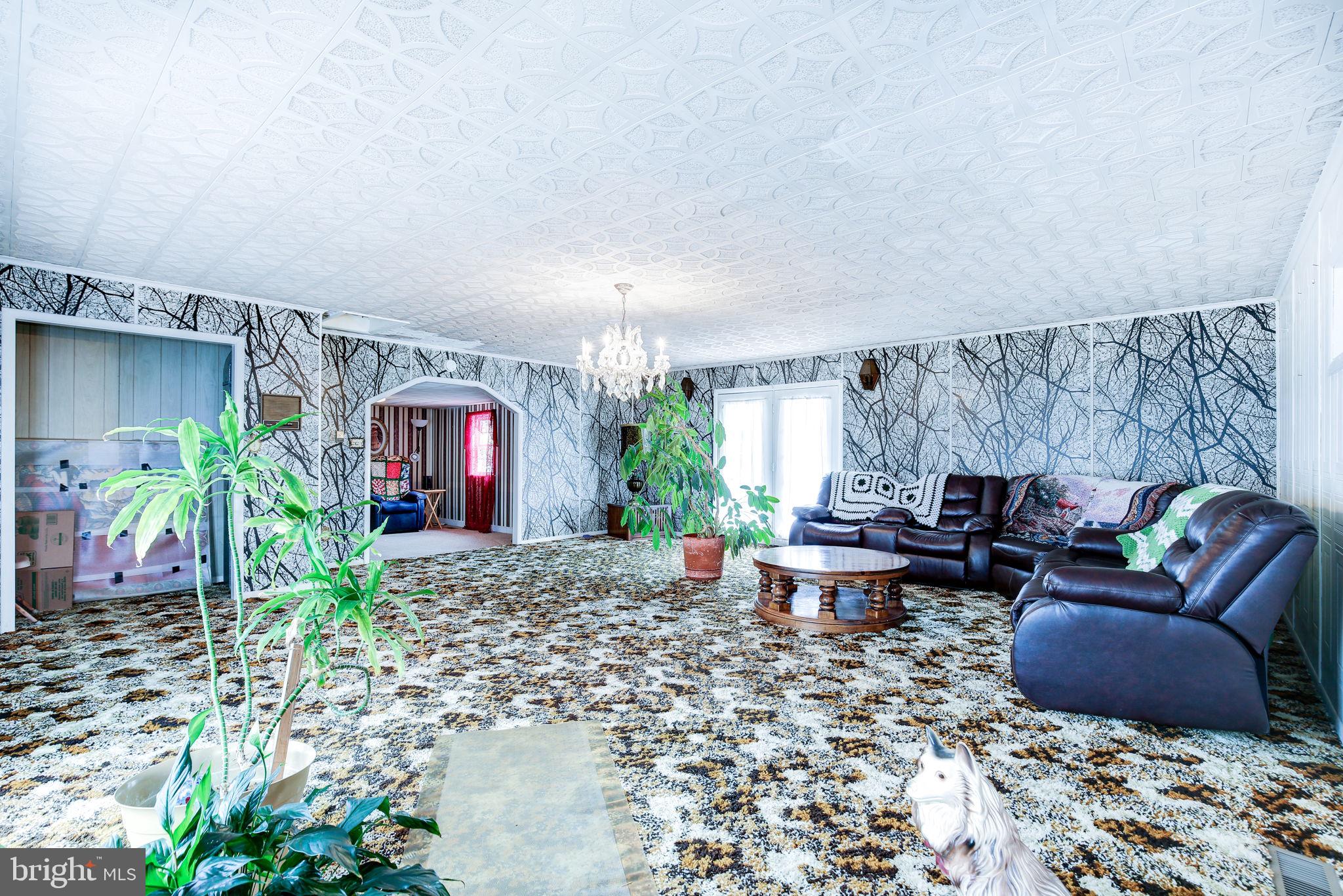 11907 Lime Plant Road New Market, MD 21774 - Photo 35 of 47 a living room with furniture and a potted plant