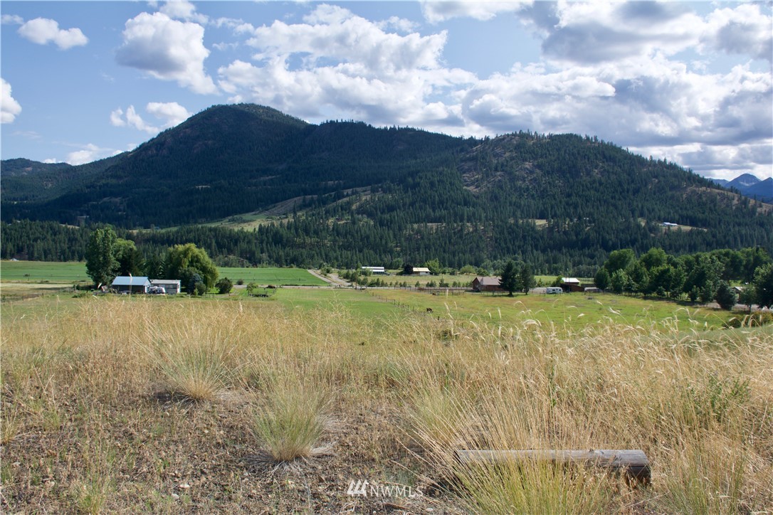 19 Raven Ridge Road Twisp, WA 98856 - Photo 14 of 23 Gallery Image 14