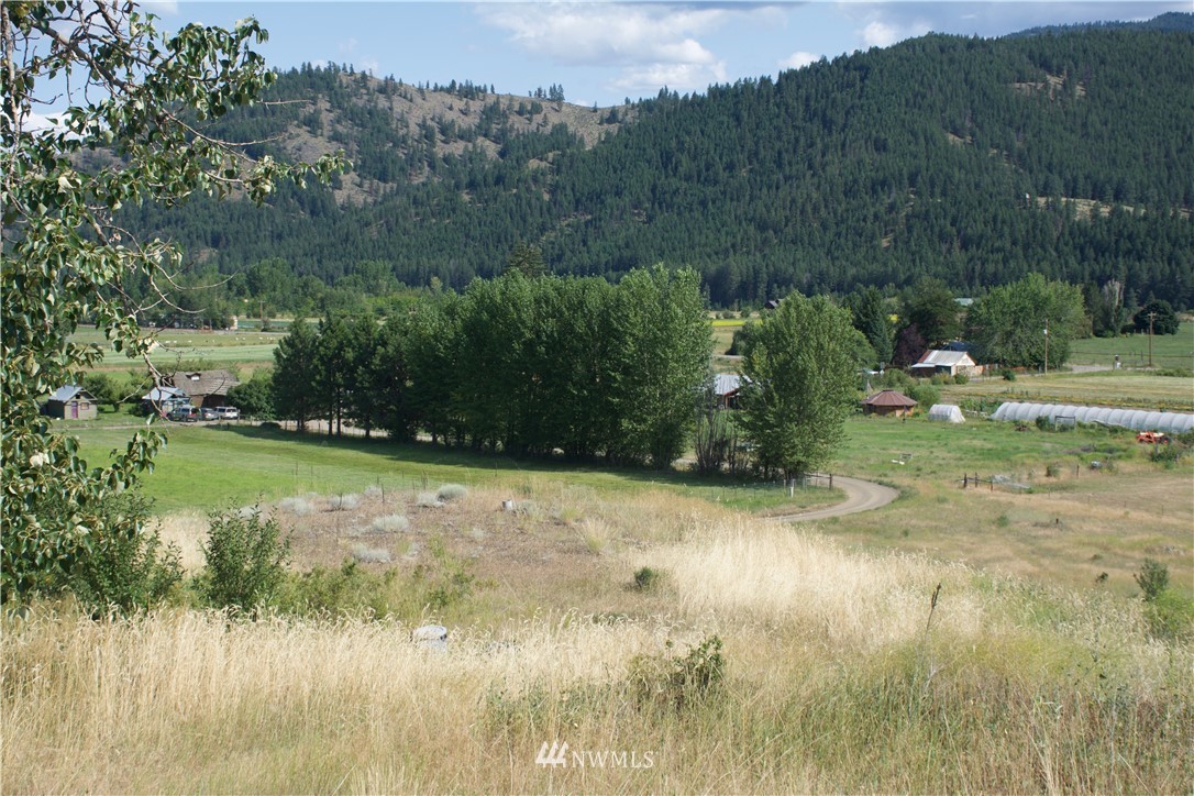 19 Raven Ridge Road Twisp, WA 98856 - Photo 22 of 23 Gallery Image 22