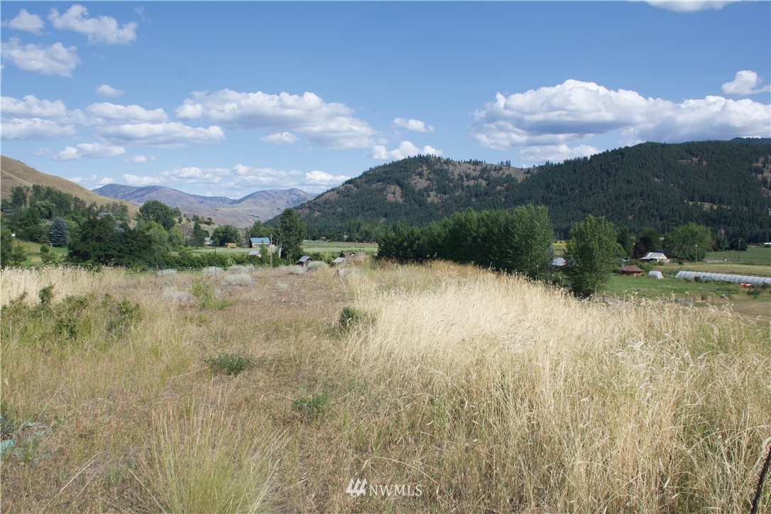 19 Raven Ridge Road Twisp, WA 98856 - Photo 8 of 23 Gallery Image 8