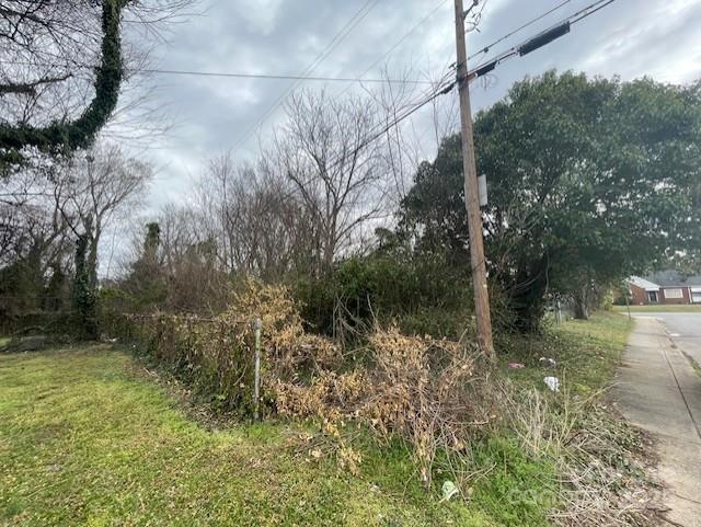 1815 Beatties Ford Road Charlotte, NC 28216 - Photo 13 of 14 a backyard of a house with lots of green space
