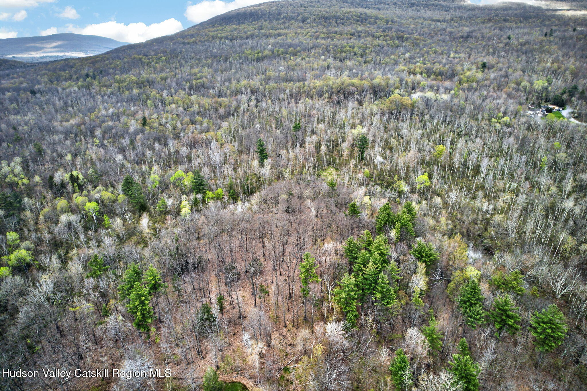0 Camp Schoharie Road Hunter, NY 12442 - Photo 11 of 15 11-web-or-mls-camp-schoharie-rd