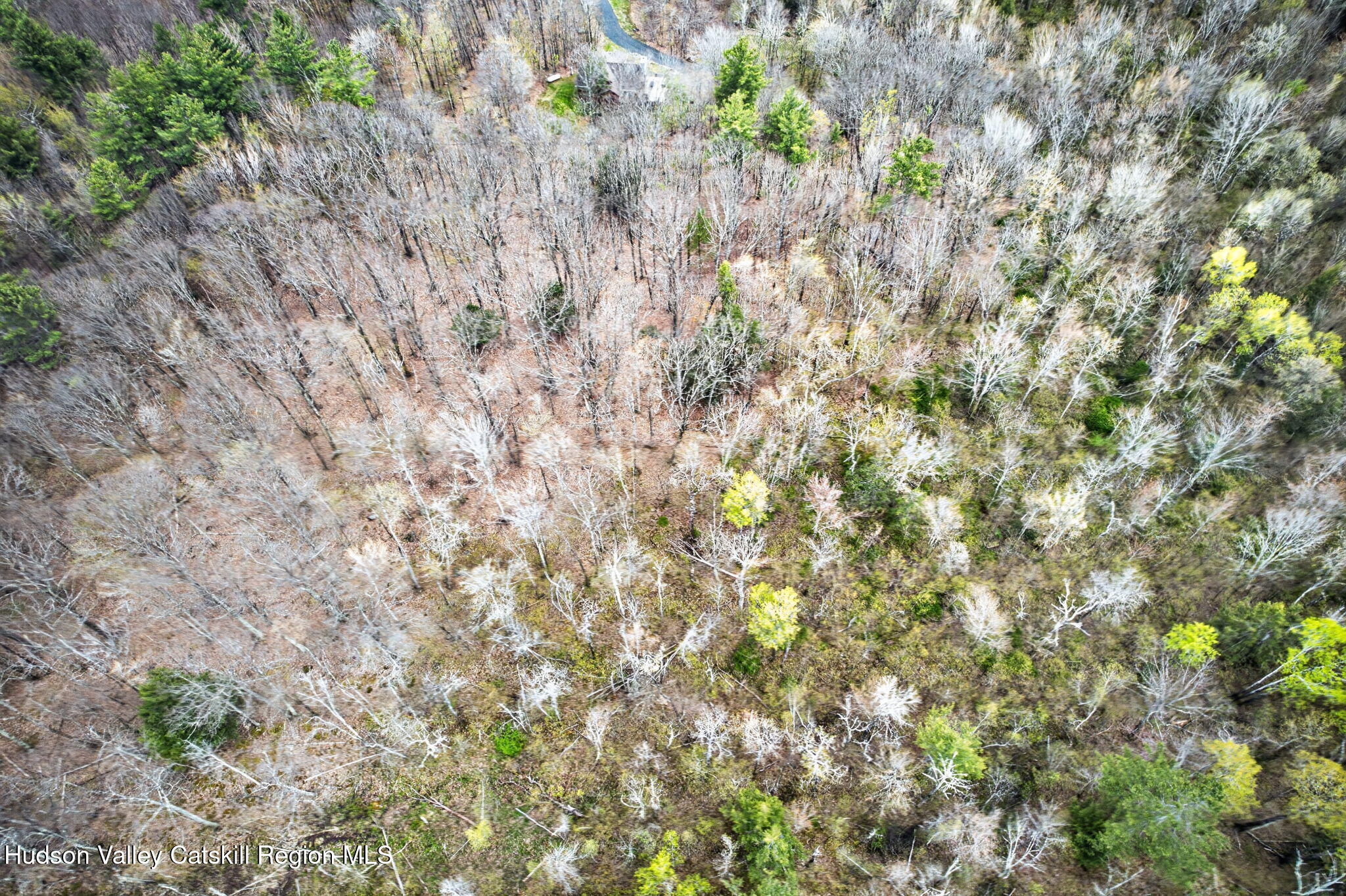 0 Camp Schoharie Road Hunter, NY 12442 - Photo 12 of 15 18-web-or-mls-camp-schoharie-rd