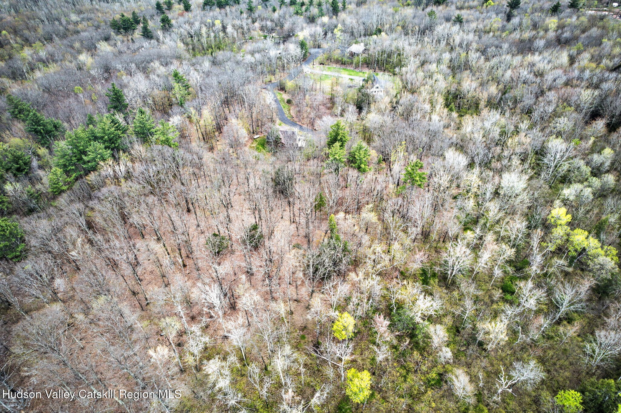 0 Camp Schoharie Road Hunter, NY 12442 - Photo 13 of 15 19-web-or-mls-camp-schoharie-rd