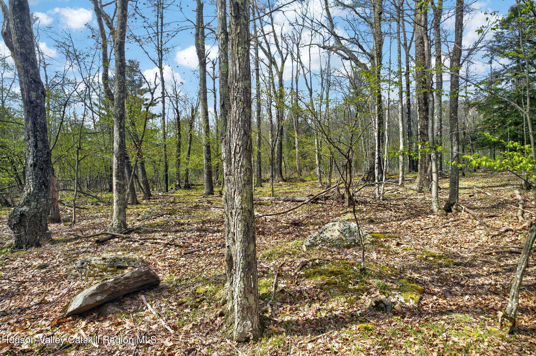 0 Camp Schoharie Road Hunter, NY 12442 - Photo 3 of 15 3-web-or-mls-camp-schoharie-rd