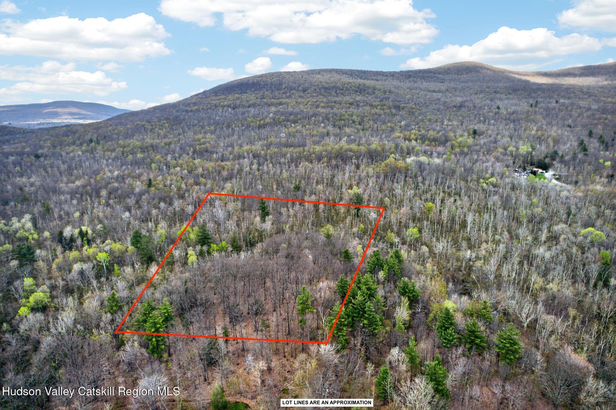0 Camp Schoharie Road Hunter, NY 12442 - Photo 7 of 15 12-web-or-mls-camp-schoharie-rd