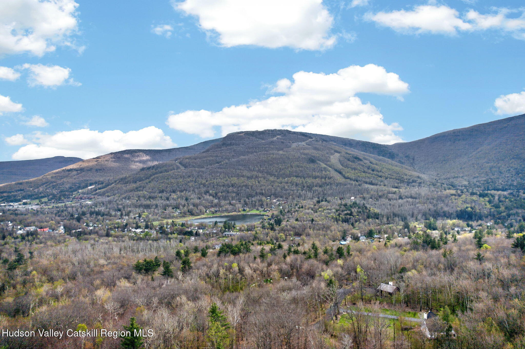 0 Camp Schoharie Road Hunter, NY 12442 - Photo 9 of 15 9-web-or-mls-camp-schoharie-rd