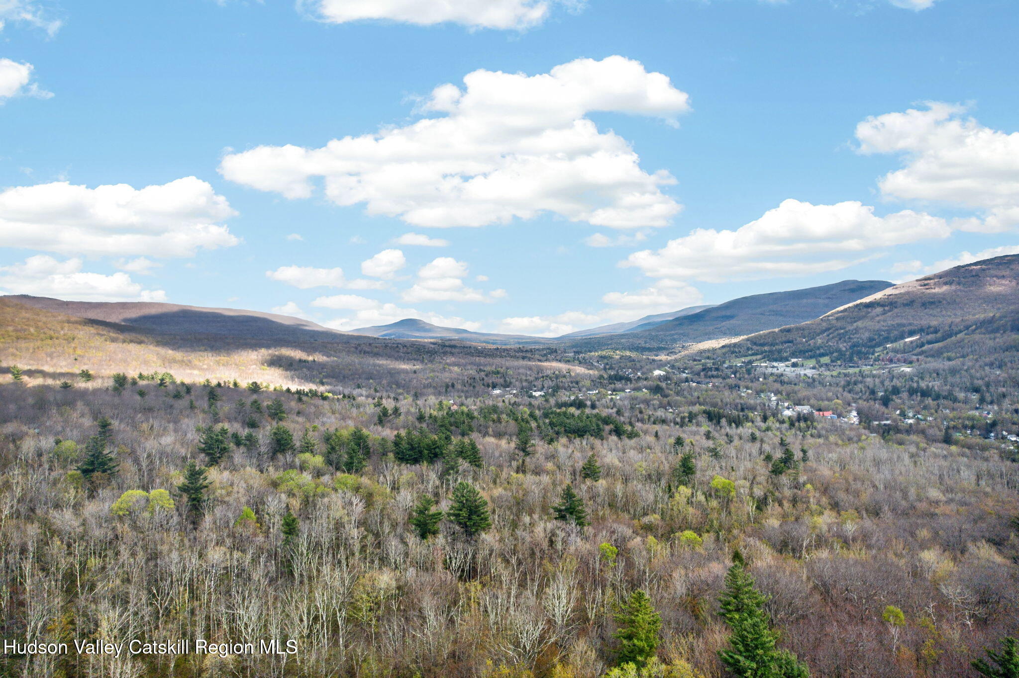 0 Camp Schoharie Road Hunter, NY 12442 - Photo 10 of 15 10-web-or-mls-camp-schoharie-rd