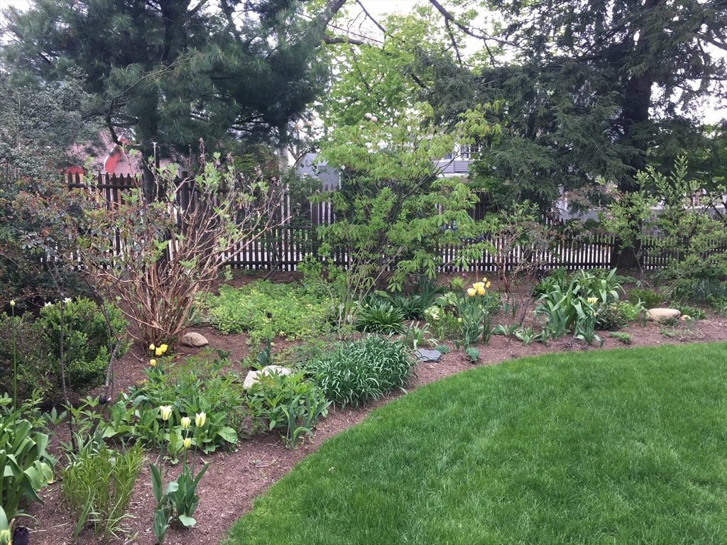 5 Lincoln Street Arlington, MA 02476 - Photo 36 of 42