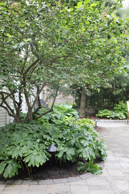 5 Lincoln Street Arlington, MA 02476 - Photo 38 of 42