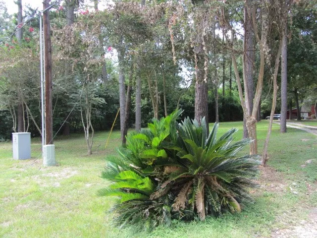 $475,000 | 1368 Fish Hatchery Road, Huntsville, TX 77320