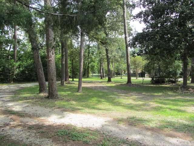 1368 Fish Hatchery Road Huntsville, TX 77320 - Photo 13 of 33 looking down toward entry drive