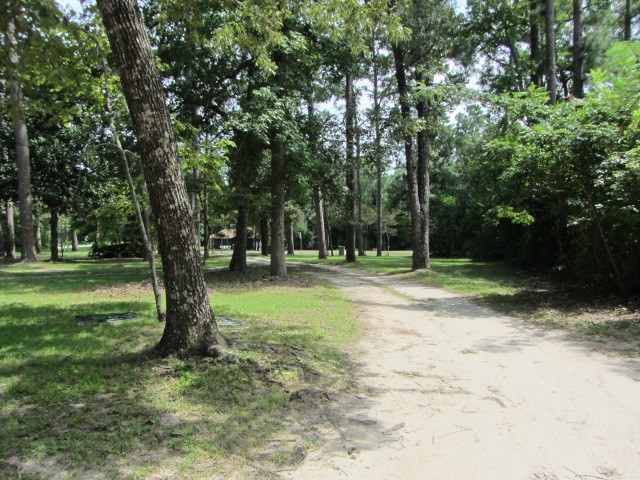 1368 Fish Hatchery Road Huntsville, TX 77320 - Photo 9 of 33 Entry drive going right