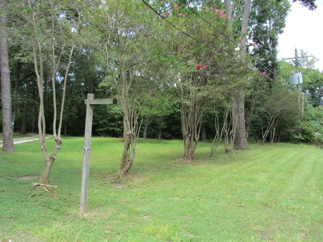 1368 Fish Hatchery Road Huntsville, TX 77320 - Photo 10 of 33