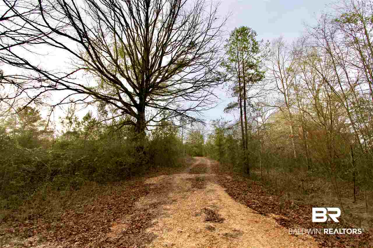 0 Sexton Brg Road Luverne, AL 36049 - Photo 19 of 50