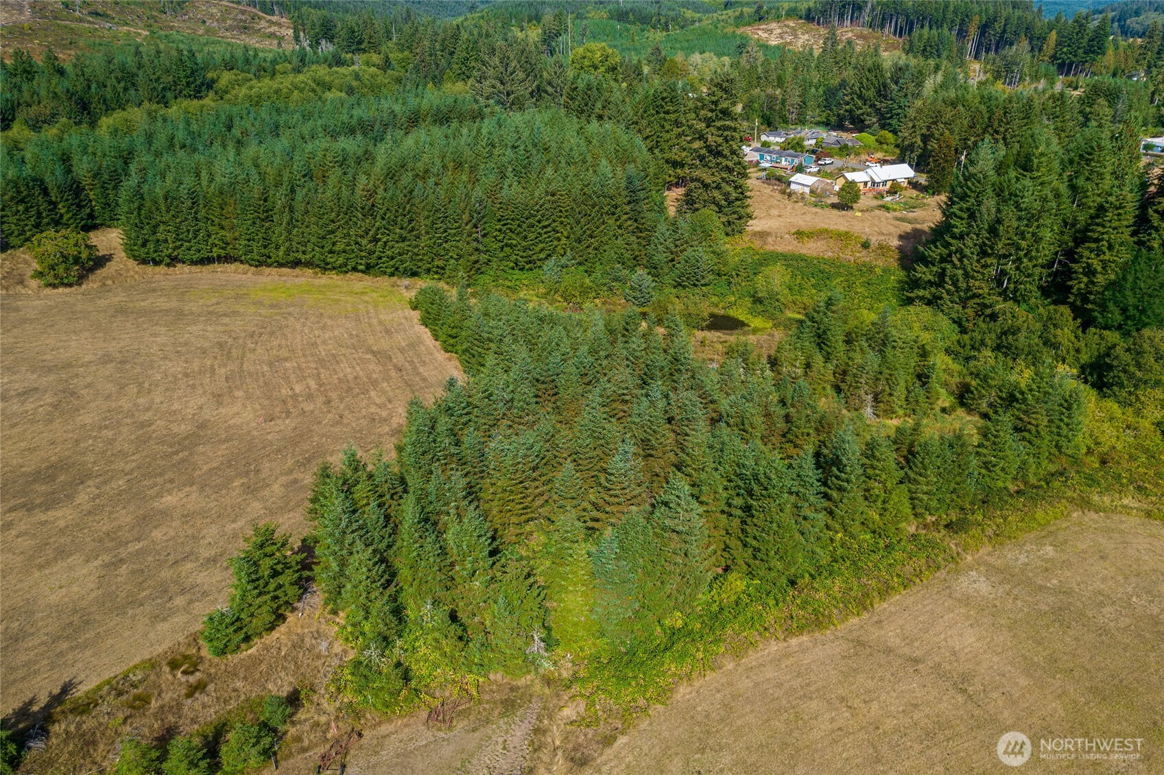 0 Markley Street Raymond, WA 98577 - Photo 7 of 10