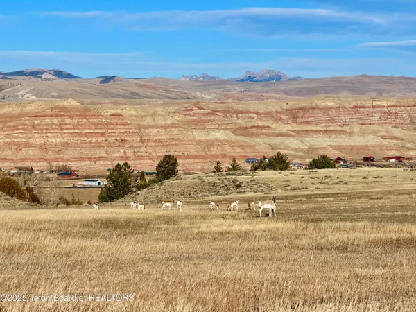 $963,000 | 4-5 Bald Mountain Road, Dubois, WY 82513