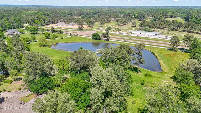 $1,200,000 | 10855 Hwy 49n Jackson Ms 39209, Jackson, MS 39209