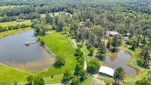 $1,200,000 | 10855 Hwy 49n Jackson Ms 39209, Jackson, MS 39209