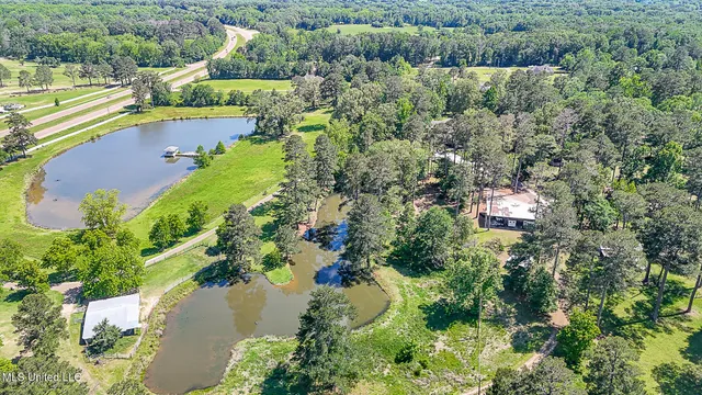 $1,200,000 | 10855 Hwy 49n Jackson Ms 39209, Jackson, MS 39209