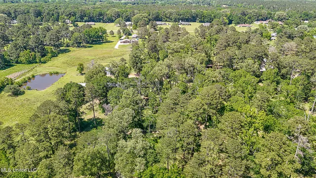 $1,200,000 | 10855 Hwy 49n Jackson Ms 39209, Jackson, MS 39209