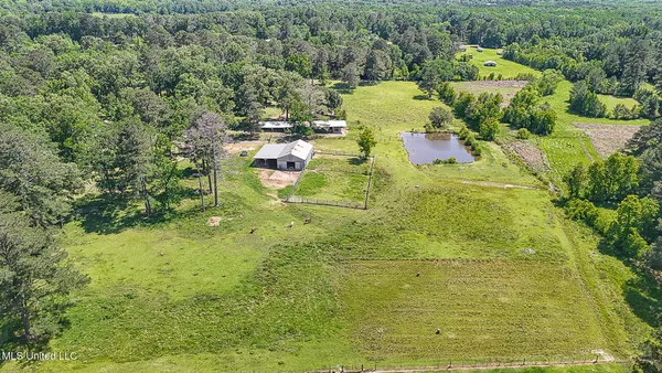 $1,200,000 | 10855 Hwy 49n Jackson Ms 39209, Jackson, MS 39209