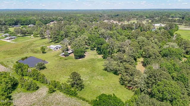 $1,200,000 | 10855 Hwy 49n Jackson Ms 39209, Jackson, MS 39209