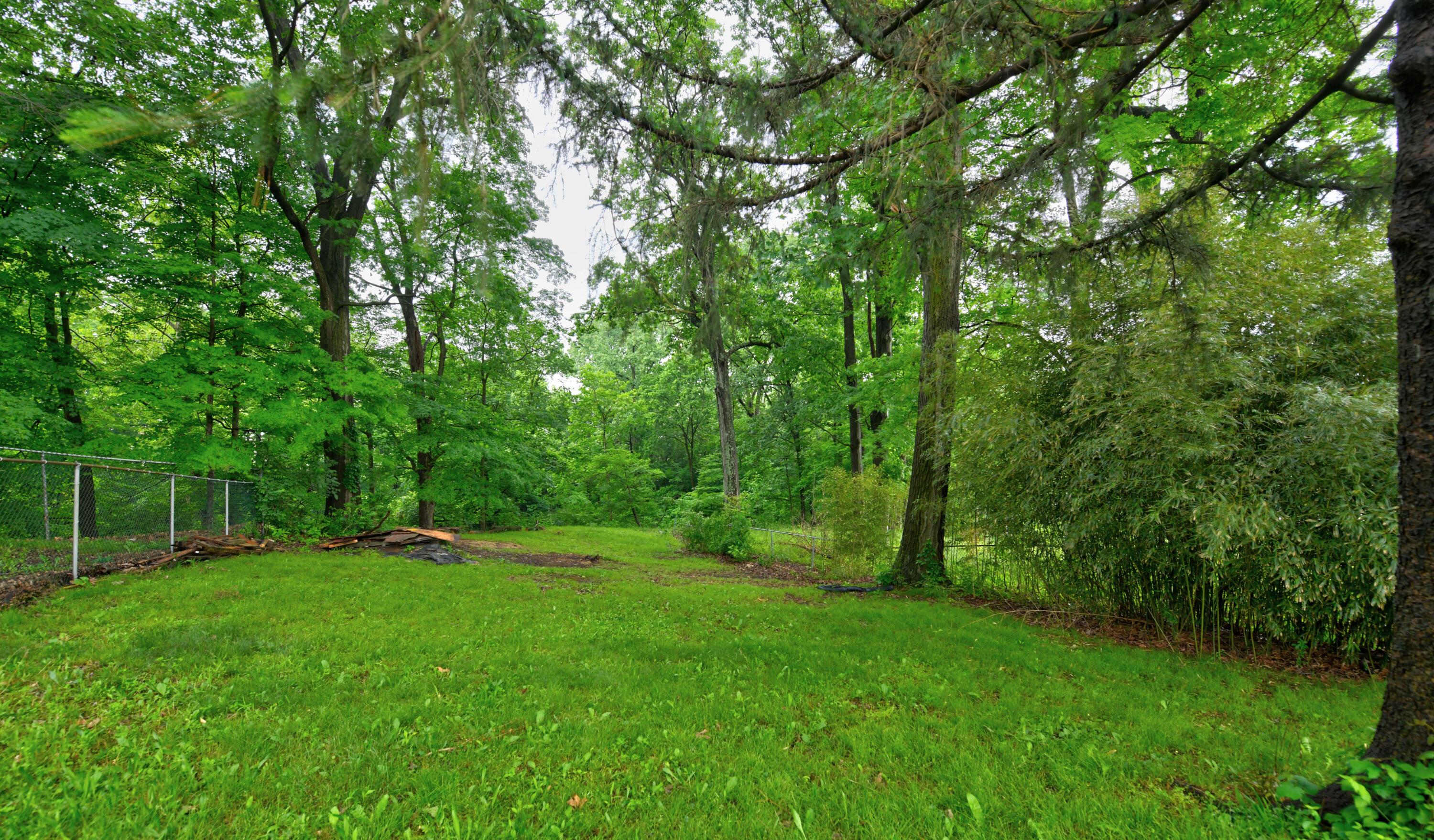 2474 Mecca Road Columbus, OH 43224 - Photo 24 of 26 Yard (3)