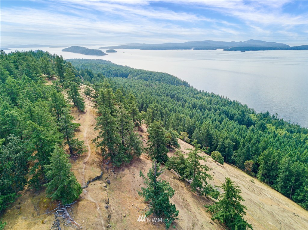 592 South Side Road Stuart Island, WA 98250 - Photo 18 of 25 Gallery Image 18