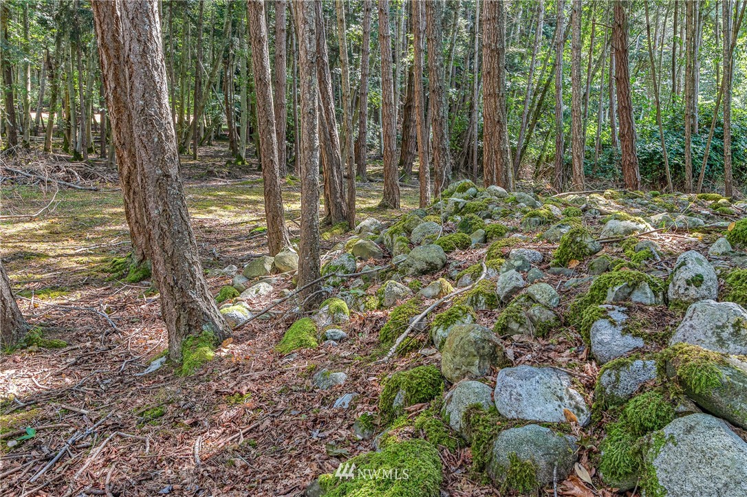 592 South Side Road Stuart Island, WA 98250 - Photo 25 of 25 Gallery Image 25