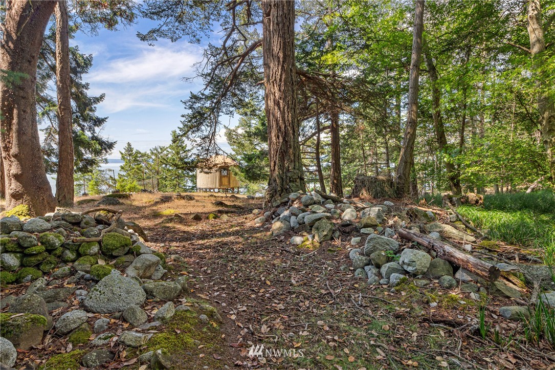 592 South Side Road Stuart Island, WA 98250 - Photo 9 of 25 Gallery Image 9