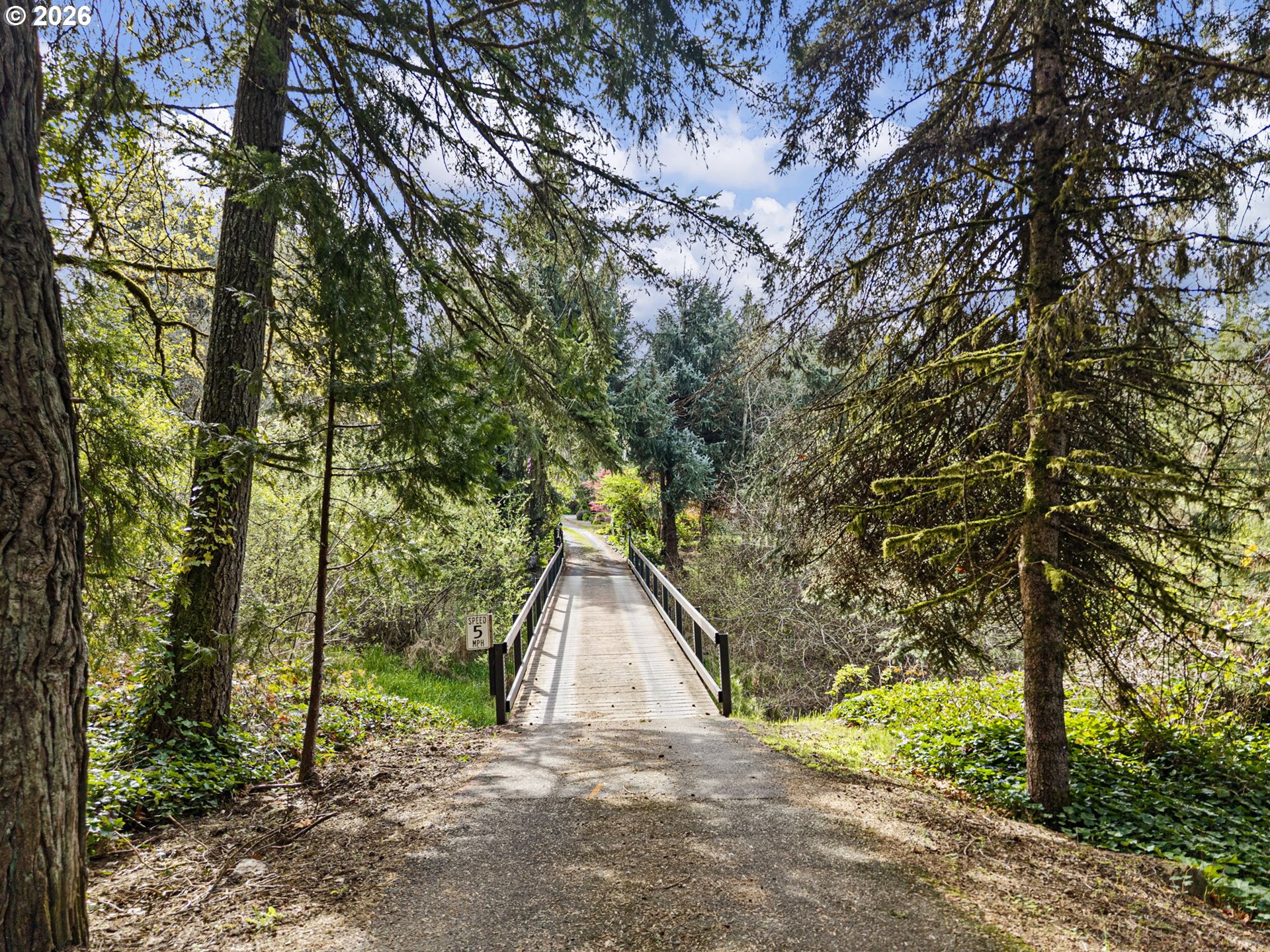 39428 Jasper Lowell Road Lowell, OR 97452 - Photo 41 of 46