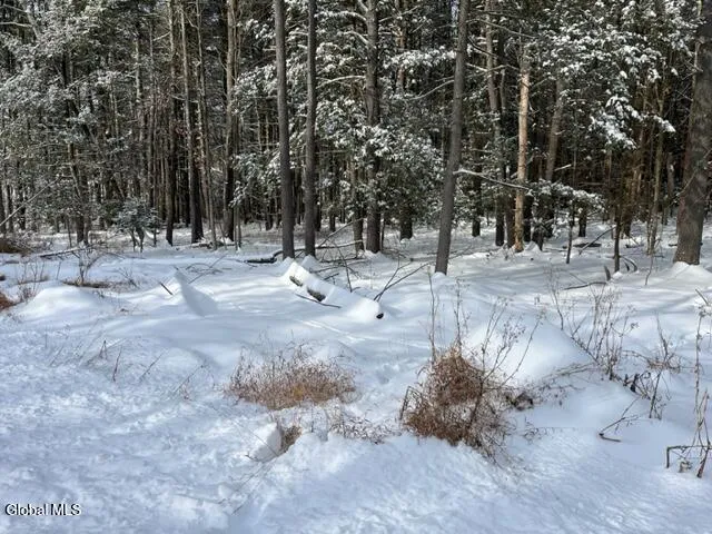 $99,900 | 51 Circle Drive, Coxsackie, NY 12051