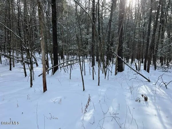 $99,900 | 51 Circle Drive, Coxsackie, NY 12051