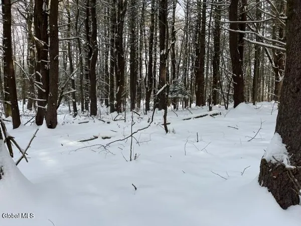 $99,900 | 51 Circle Drive, Coxsackie, NY 12051