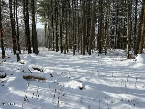$99,900 | 51 Circle Drive, Coxsackie, NY 12051