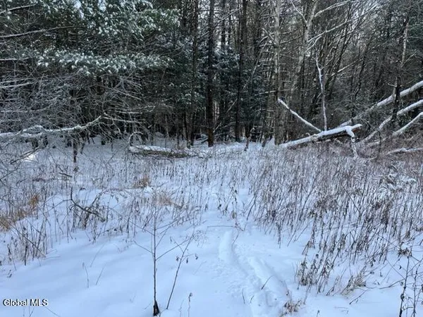 $99,900 | 51 Circle Drive, Coxsackie, NY 12051