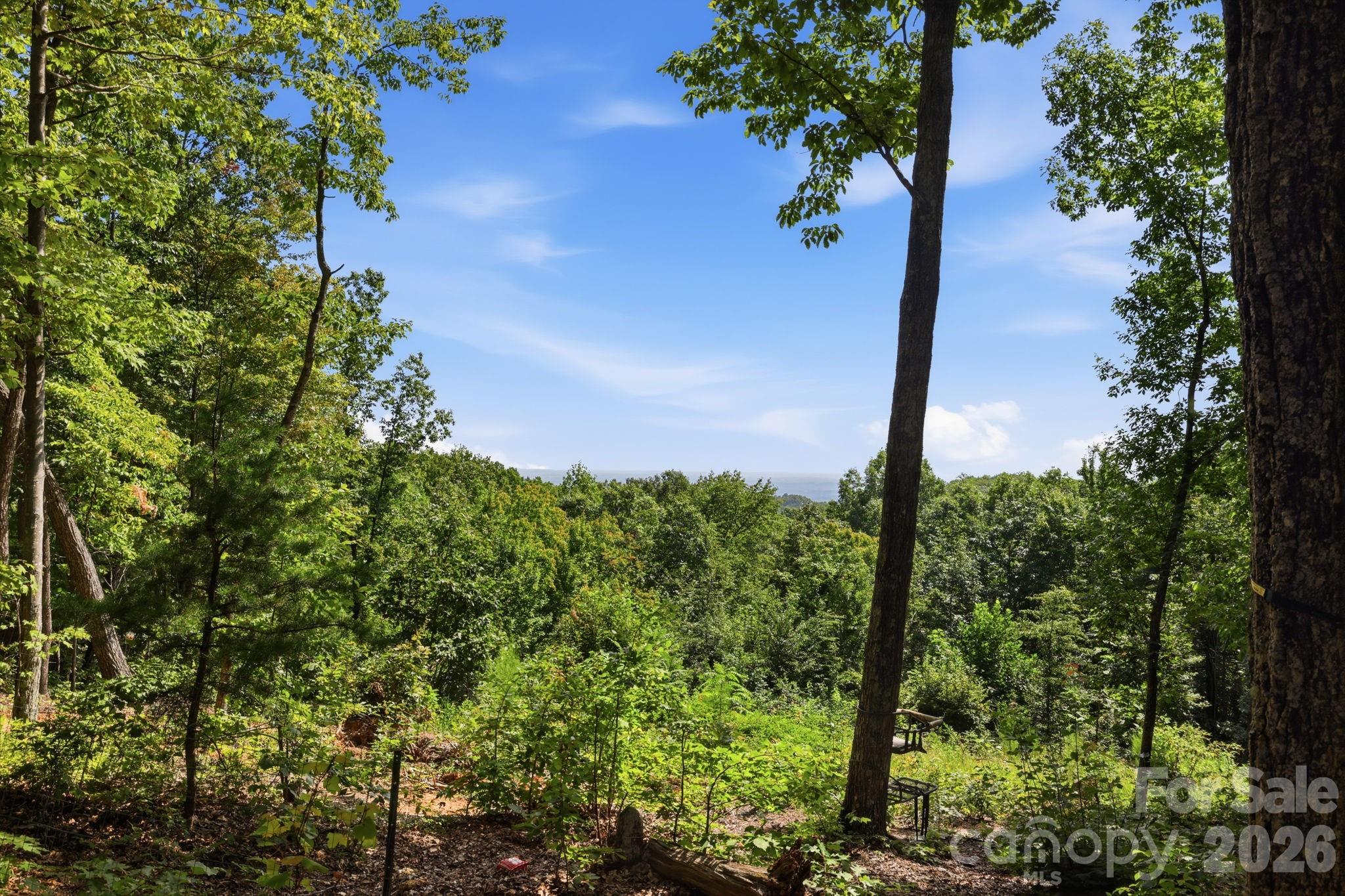 464 Mason Road Ellenboro, NC 28040 - Photo 46 of 48 Gallery Image 46