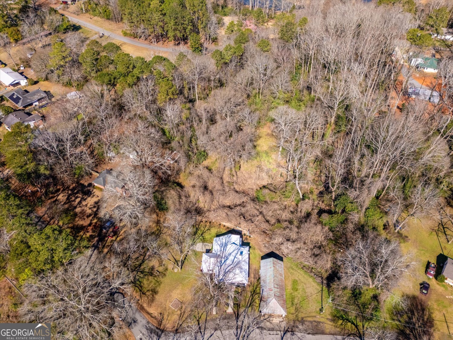 528 North Alexander Avenue Washington, GA 30673 - Photo 36 of 42 a view of a forest with a tree