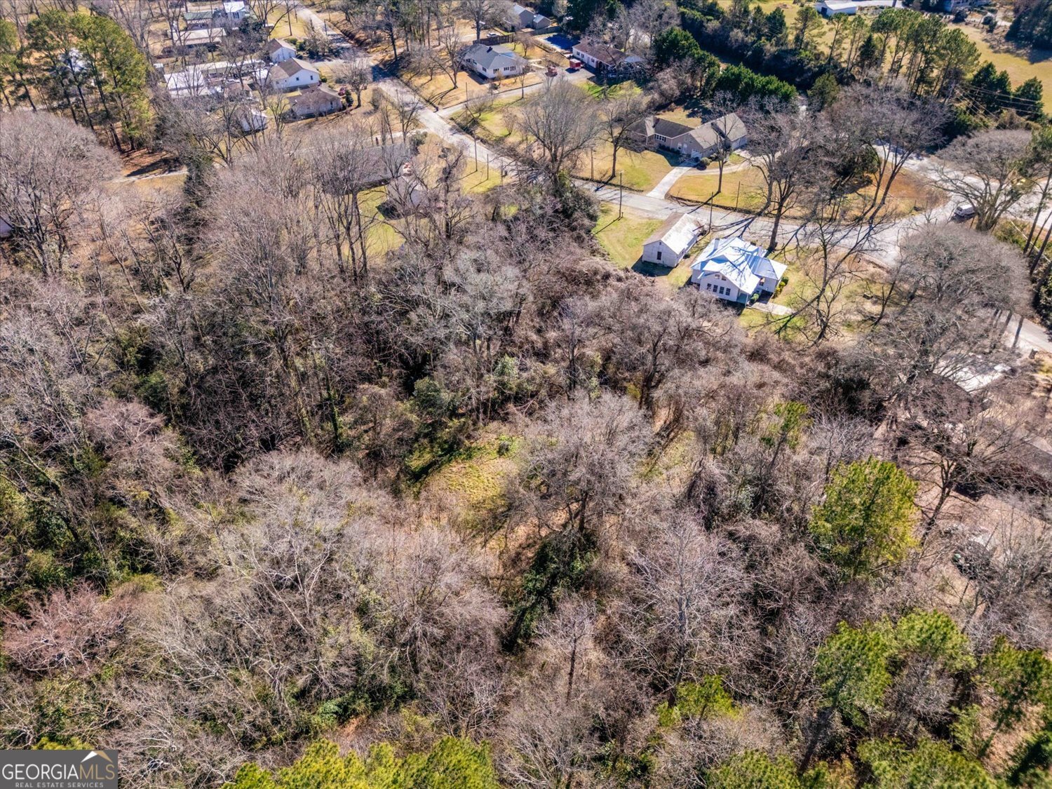 528 North Alexander Avenue Washington, GA 30673 - Photo 37 of 42 a view of a plants in a garden