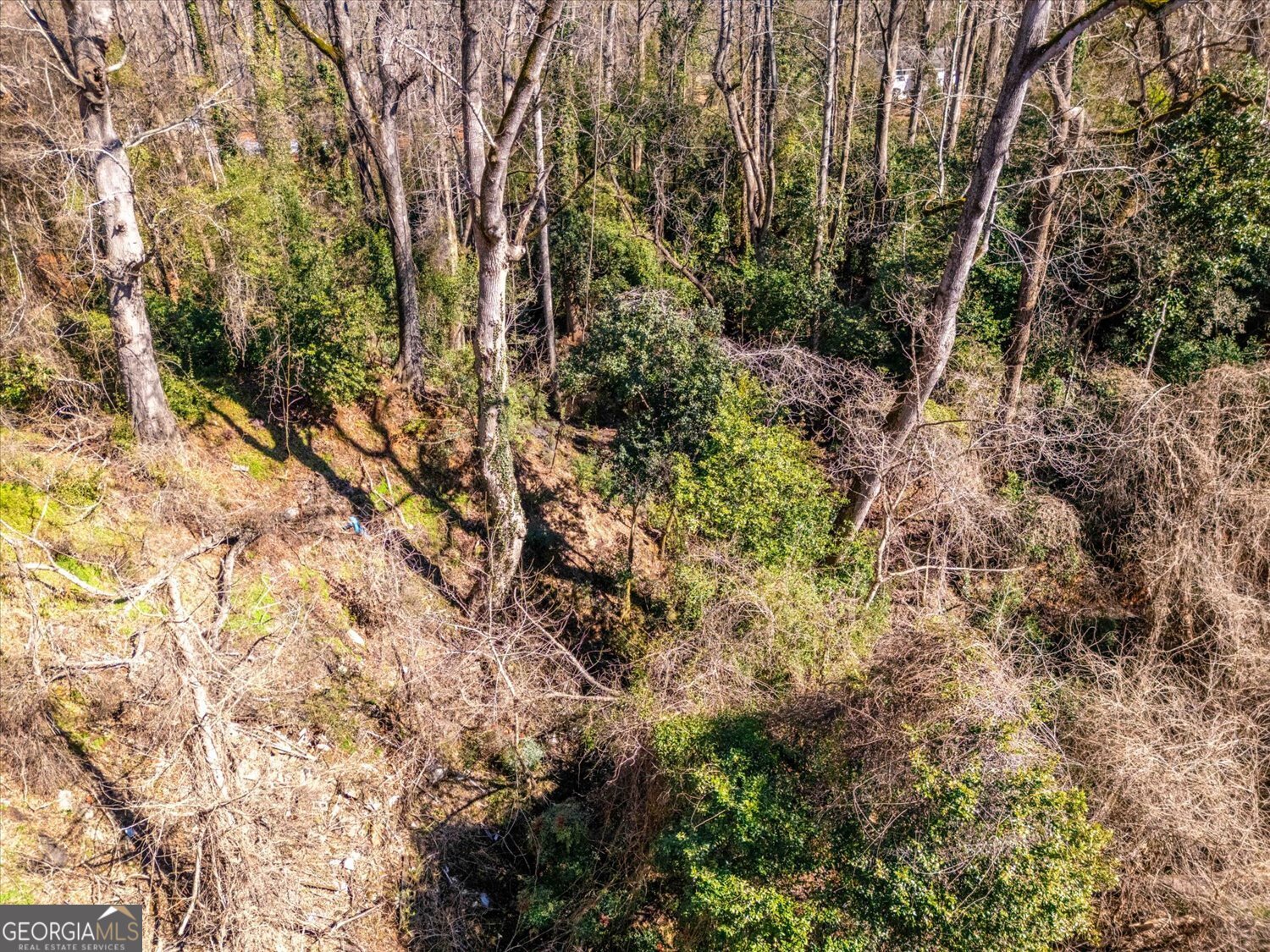 528 North Alexander Avenue Washington, GA 30673 - Photo 39 of 42 a view of a forest with trees