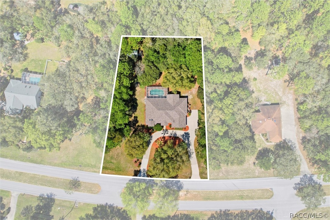 2399 West Pine Ridge Boulevard Beverly Hills, FL 34465 - Photo 9 of 46