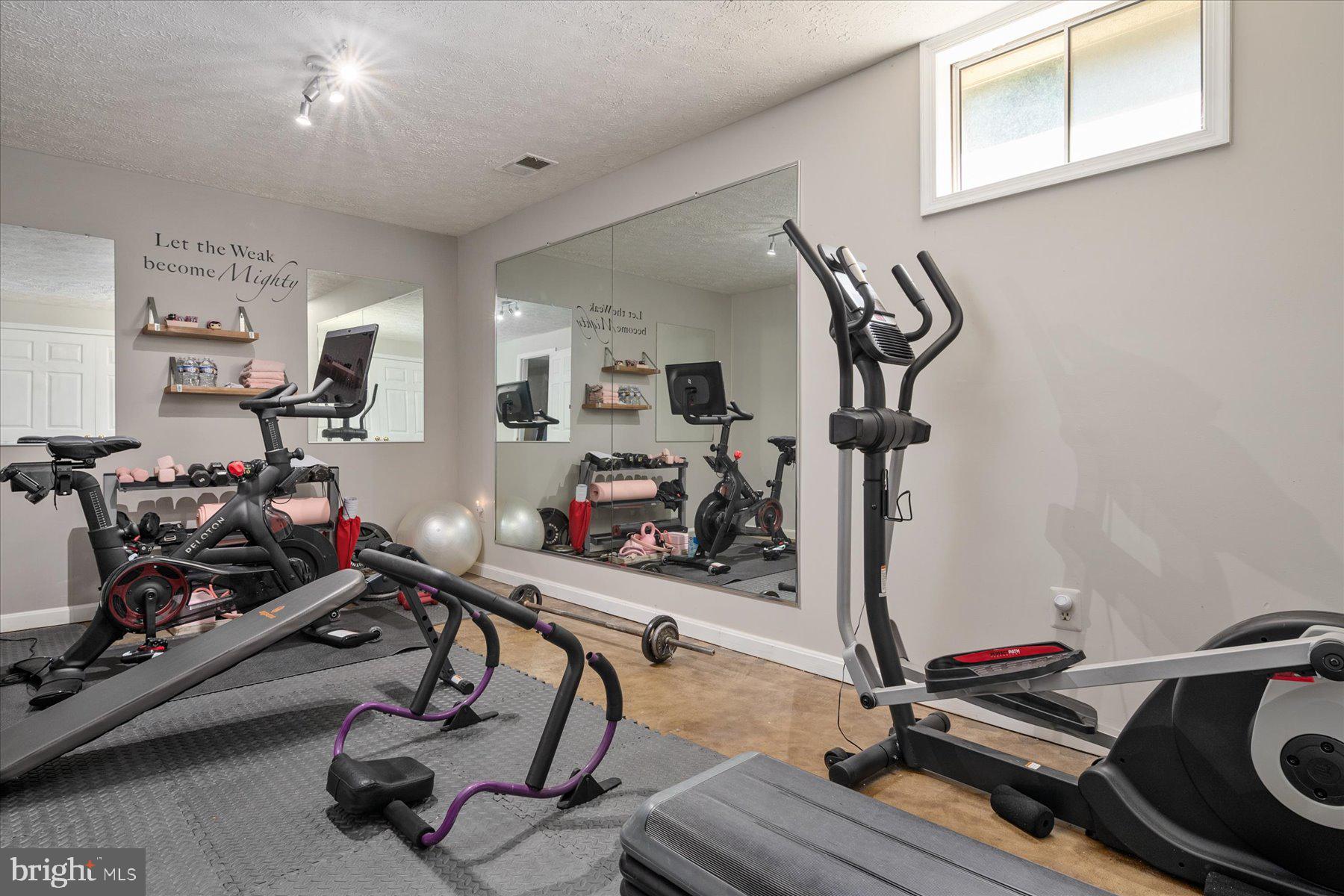 1321 Pleasant Meadow Road Crofton, MD 21114 - Photo 37 of 49 Lower Level Gym Room