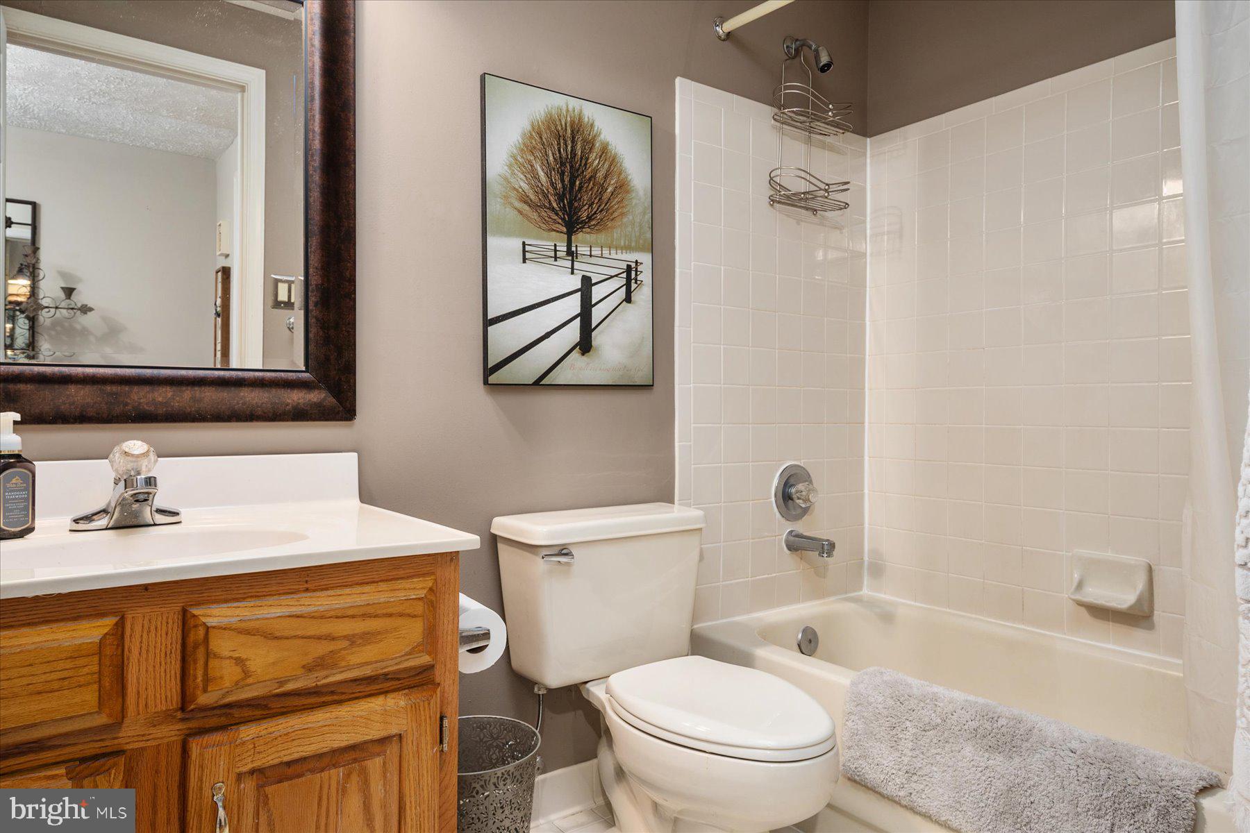 1321 Pleasant Meadow Road Crofton, MD 21114 - Photo 38 of 49 Lower Level Full Bath