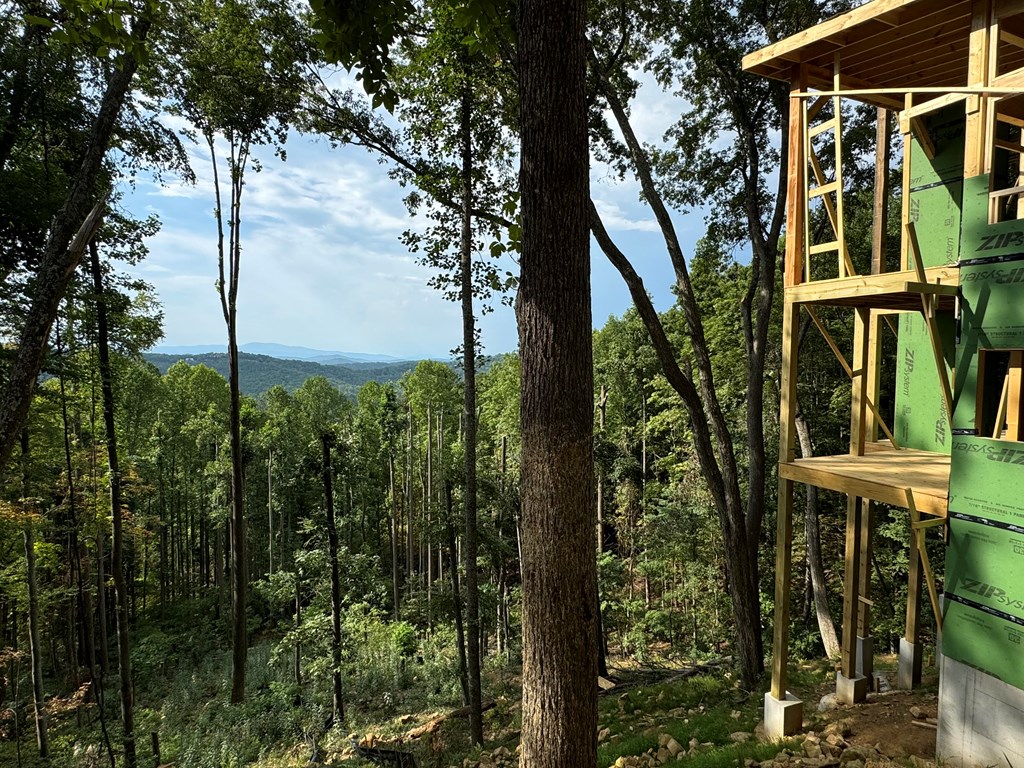 2 Grand Vista Drive Blue Ridge, GA 30513 - Photo 3 of 57